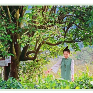 ��������������Ӧ�����ѡ����ȷ�����أ�