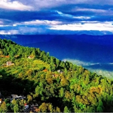 �����ٲ׵Ĳ�ũֱ���ն�����ɢ��